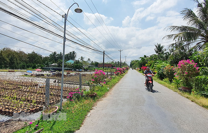 Chợ Lách: Kết quả 5 năm đẩy mạnh học tập và làm theo Bác Tuyến đường huyện lộ 41 qua xã Tân Thiềng được lắp đèn led dựa vào nguồn lực do nhân dân đóng góp.