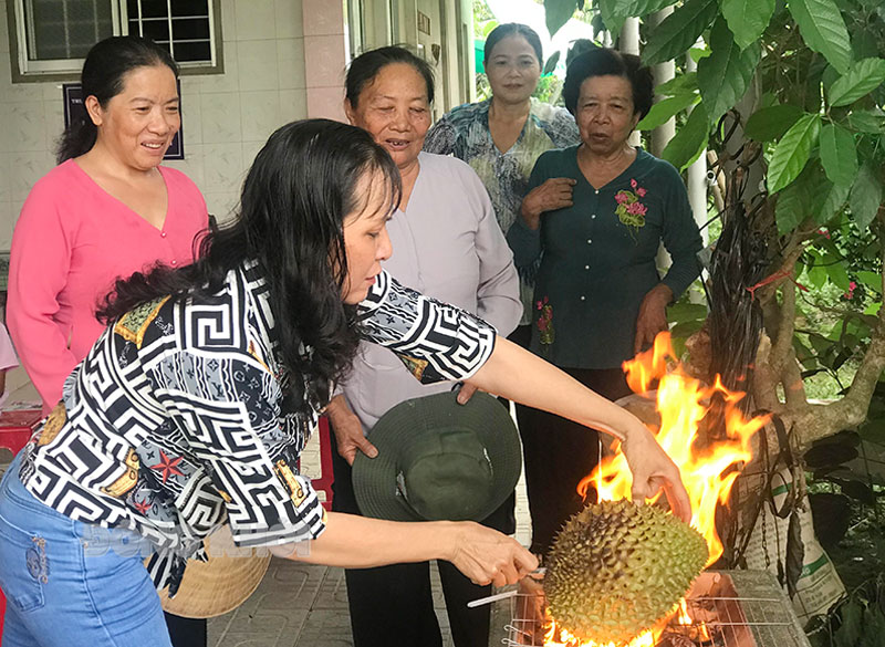 Du khách thưởng thức sầu riêng tại vườn.