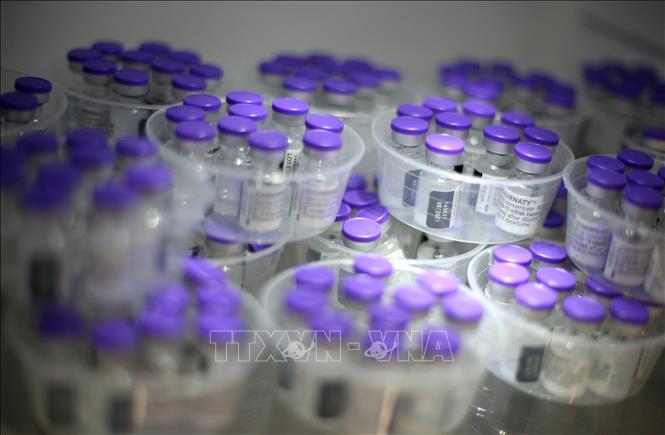 Vaccine ngừa COVID-19 của Pfizer/BioNTech. Ảnh: AFP/TTXVN