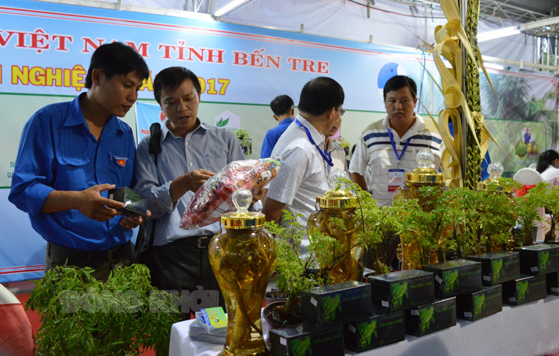 Nỗ lực xây dựng “Địa phương khởi nghiệp” Thanh niên khởi nghiệp với các sản phẩm từ cây đinh lăng.
