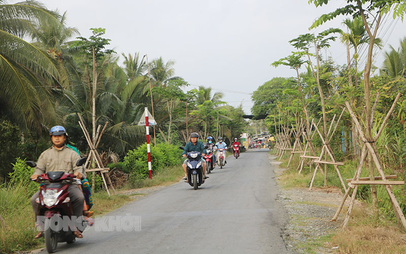 Hệ thống giao thông xã Thành An, huyện Mỏ Cày Bắc. Ảnh: Phan Hân