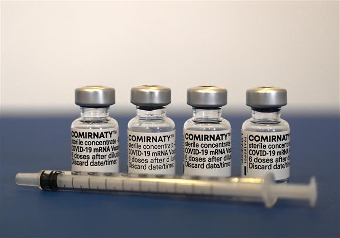 Vaccine phòng COVID-19 của Pfizer-BioNTech. Ảnh: AFP/ TTXVN