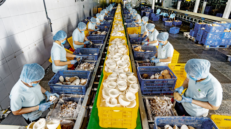 Tỉnh đang có nhu cầu tuyển dụng một lượng lớn lao động làm việc tại các khu công nghiệp. Ảnh: Cẩm Trúc