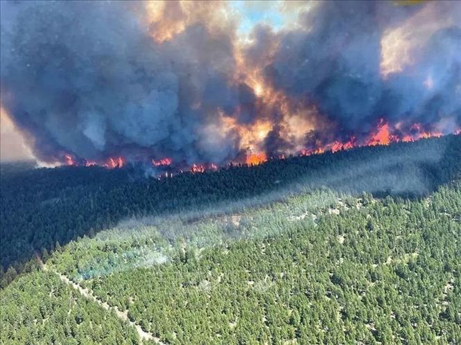 Khói lửa bốc lên ngùn ngụt từ đám cháy rừng ở Sparks Lake, British Columbia, Canada, ngày 29-6-2021. Ảnh: AFP/TTXVN