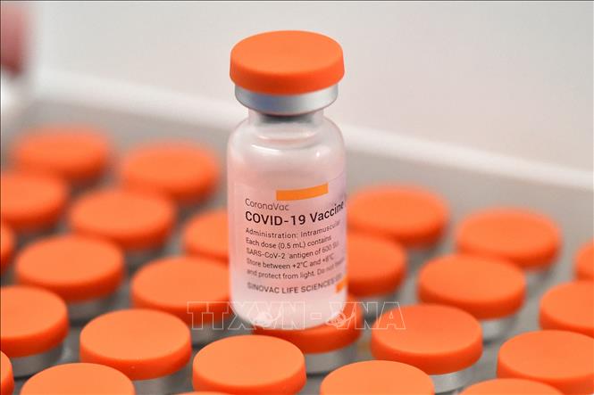 Vaccine ngừa COVID-19 của Sinovac. Ảnh: AFP/TTXVN