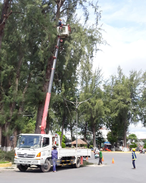 Cắt tỉa cây xanh đảm bảo an toàn giao thông trong mùa mưa bão. Ảnh: Hữu Hiệp