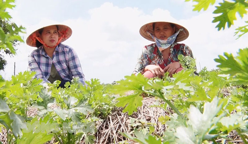 Chị Đỗ Thị Đẹp (ngồi bên trái) với ý tưởng “Sản xuất rau hữu cơ kết hợp công nghệ tưới nước nhỏ giọt và màng phủ nông nghiệp đảm bảo sinh kế và ứng phó biến đổi khí hậu”.