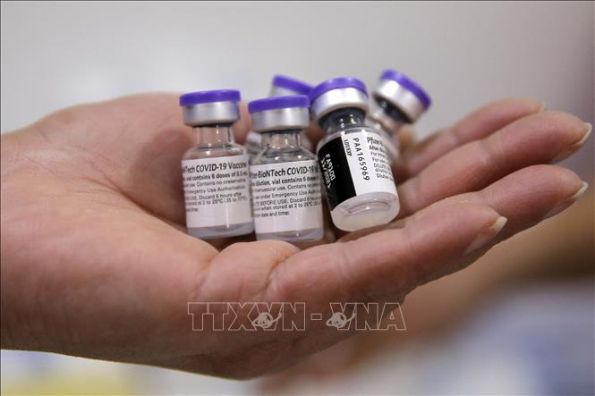 Vaccine COVID-19 của hãng Pfizer-BioNTech. Ảnh: AFP/TTXVN