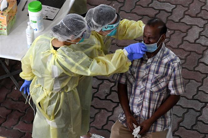 Indonesia ca lây nhiễm và tử vong mới cao nhất thế giới Nhân viên y tế lấy mẫu xét nghiệm COVID-19 cho người dân tại Singapore. Ảnh: AFP/TTXVN