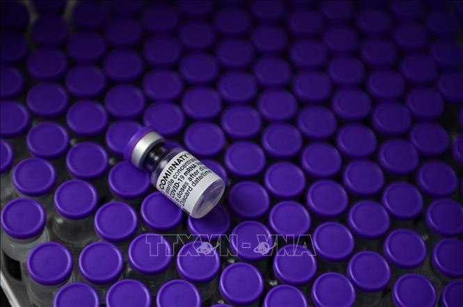 Vaccine ngừa COVID-19 của hãng dược phẩm Pfizer/BioNTech. Ảnh: AFP/ TTXVN