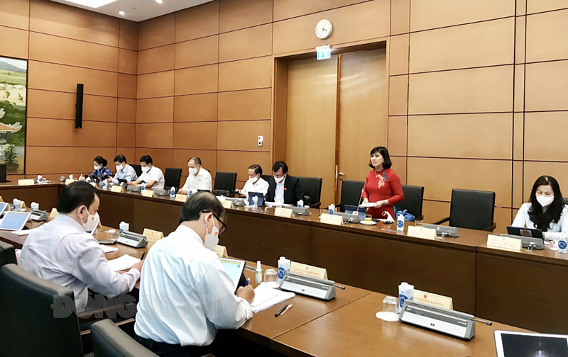 Phát triển kinh tế - xã hội và ngân sách nhà nước Đại biểu Nguyễn Thị Lệ Thủy phát biểu thảo luận tại tổ. Ảnh: CTV