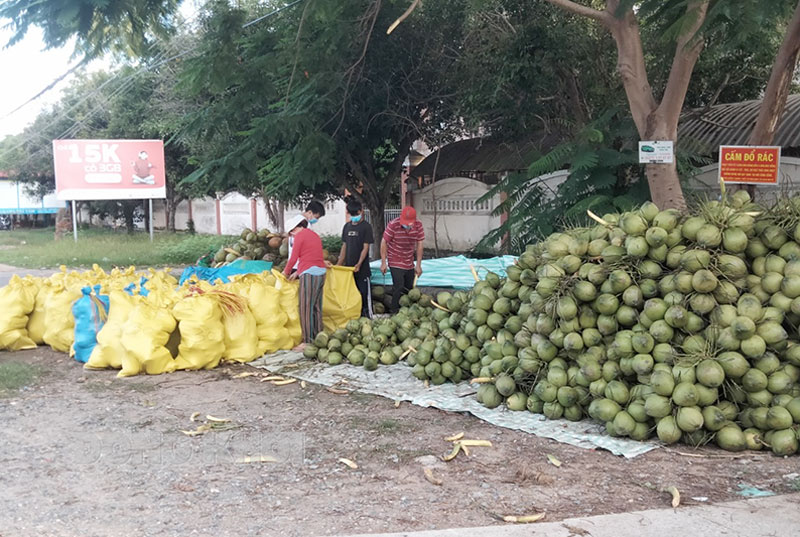 Người dân vận chuyển hàng nông sản ra điểm tập kết giao cho thương lái.