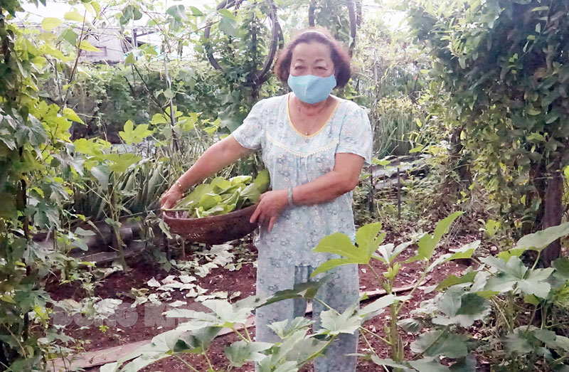 Cô Nguyễn Thị Kim Nương trong vườn rau nhà mình.