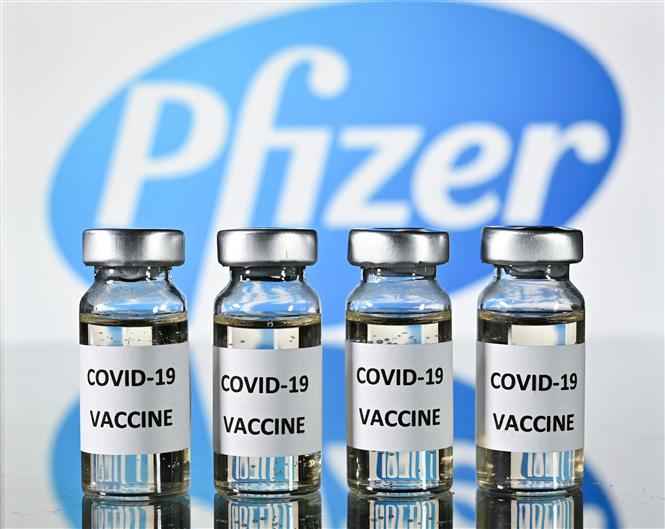 COVID-19 tới 6 giờ ngày 24-8-2021: Mỹ cấp phép đầy đủ cho vaccine Pfizer; Ấn Độ dự báo làn sóng dịch thứ 3 Vaccine ngừa COVID-19 của Pfizer/BioNTech. Ảnh: AFP/TTXVN
