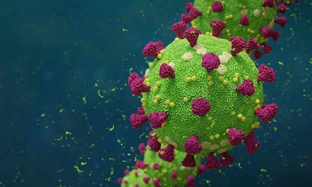 Tình báo Mỹ ra kết luận về nguồn gốc của virus SARS-CoV-2 Ảnh minh họa. (Nguồn: drugtargetreview.com)