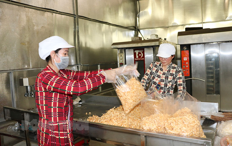 Đẩy nhanh việc giải ngân chi hỗ trợ người lao động Lao động tự do (lao động không có giao kết hợp đồng lao động) chiếm số lượng nhiều nhất so với 11 nhóm còn lại theo Nghị quyết số 68/NQ-CP (ảnh chụp trước khi bùng phát dịch Covid-19).