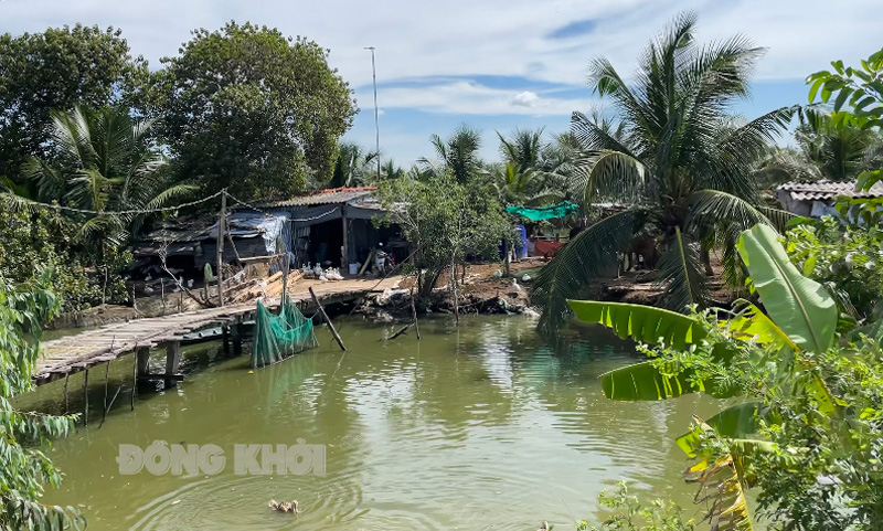 Thống nhất chủ trương đầu tư phát triển Khu Lạc Địa Khu vực bưng Lạc Địa hiện hữu.