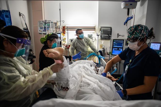 Nhân viên y tế điều trị cho bệnh nhân COVID-19 tại một bệnh viện ở Tarzana, bang California, Mỹ ngày 2-9-2021. Ảnh: AFP/TTXVN 
