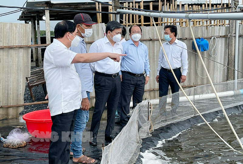 Tham quan mới hình nuôi tôm công nghệ cao nhiều giai đoạn. Ảnh: CTV