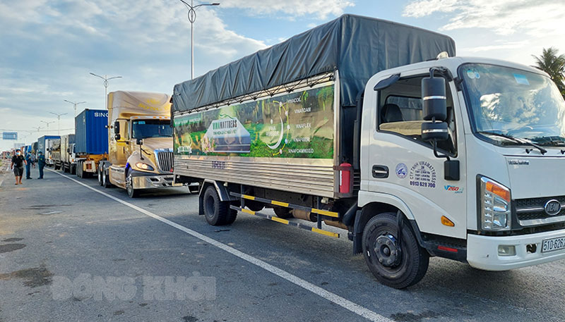 Các phương tiện vận tải vào tỉnh.