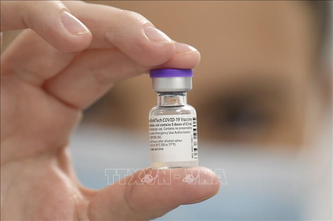 Vaccine COVID-19 của hãng Pfizer/BioNTech. Ảnh: AFP/TTXVN