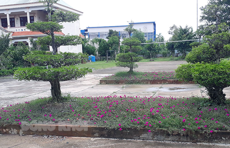 Thượng úy chuyên nghiệp Lê Văn Minh tiêu biểu trong công tác kỹ thuật Vườn hoa cây cảnh của đơn vị thường xuyên được Thượng úy Lê Văn Minh chăm sóc.