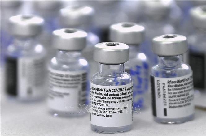 Vaccine ngừa COVID-19 của Pfizer-BioNTech. Ảnh: AFP/TTXVN