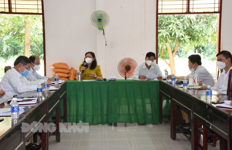 Phó bí thư Thường trực Tỉnh ủy Hồ Thị Hoàng Yến phát biểu tại buổi làm việc.