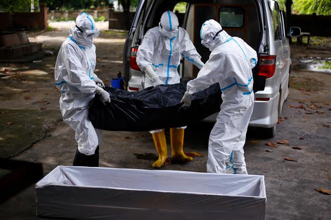 Đông Âu thành tâm dịch mới; Thế giới xấp xỉ 5 triệu ca tử vong Chuyển thi thể bệnh nhân COVID-19 tại Taungoo, Myanmar, ngày 8-7-2021. Ảnh: AFP/TTXVN