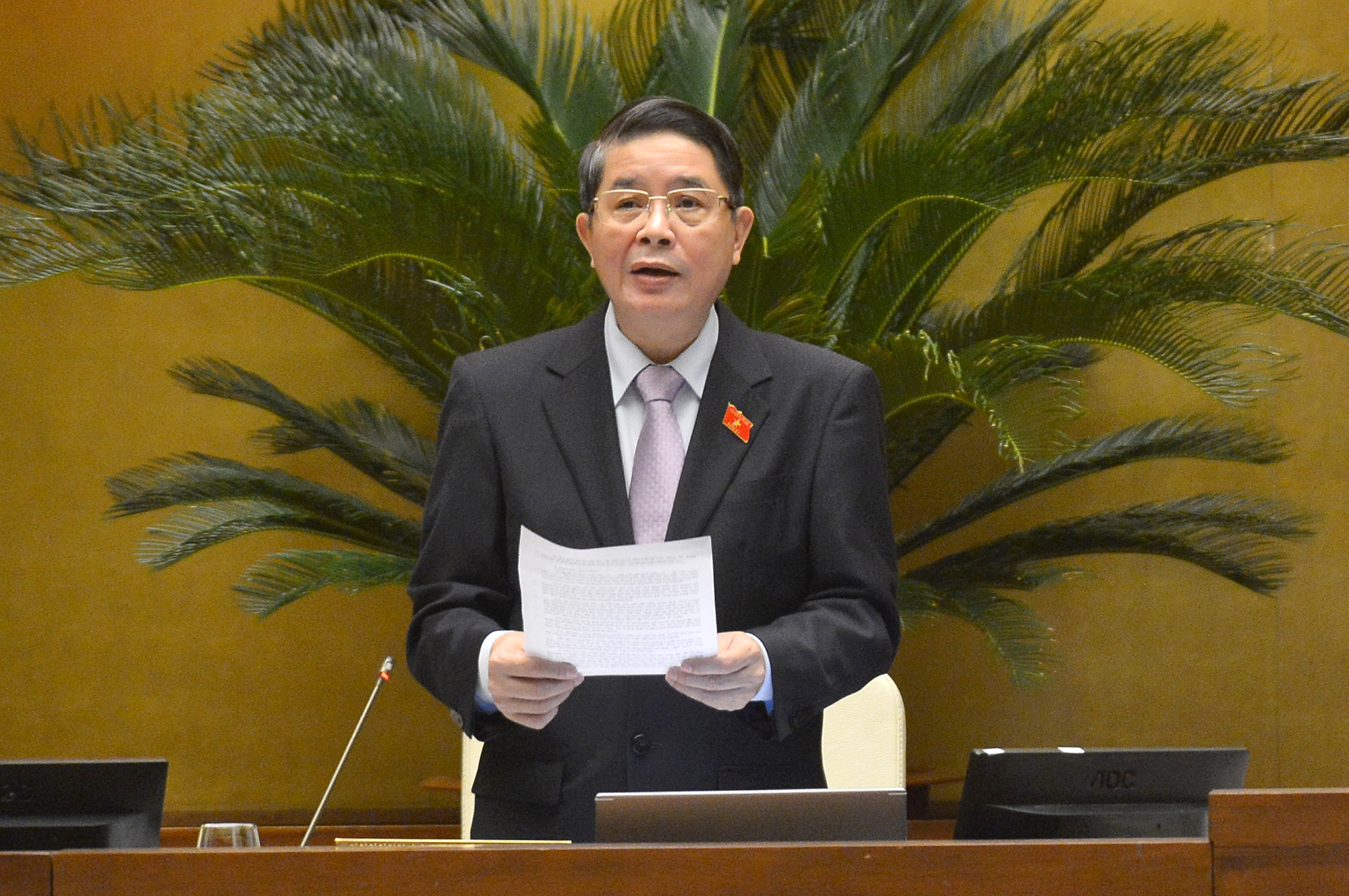 Phó chủ tịch Quốc hội Nguyễn Đức Hải.