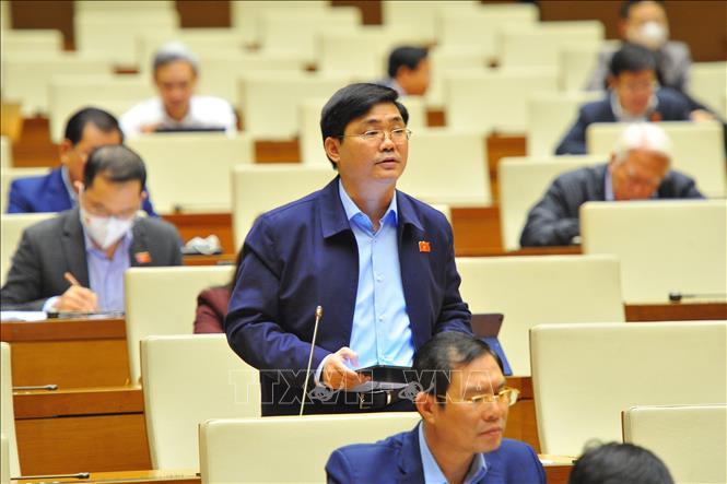 Đại biểu Quốc hội tỉnh Long An Nguyễn Tuấn Anh phát biểu ý kiến. Ảnh: Minh Đức/ TTXVN