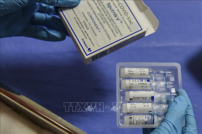 Vaccine ngừa COVID-19 Sputnik V của Nga. Ảnh minh họa: AFP/TTXVN