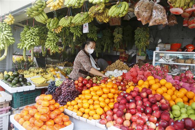 Thế giới trên 258 triệu ca bệnh; Italy tính tiêm mũi tăng cường sau 5 tháng Một quầy hoa quả tại khu chợ ở Phnom Penh, Cambodia ngày 17-11-2021. Ảnh: THX/TTXVN