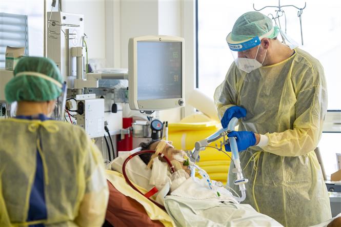 Châu Âu nguy cơ thêm 700.000 ca tử vong; Đức quá tải bệnh nhân nặng Nhân viên y tế điều trị cho bệnh nhân COVID-19 tại bệnh viện ở Munich, Đức. Ảnh: AFP/ TTXVN
