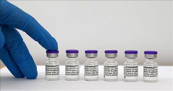 Vaccine ngừa COVID-19 của Pfizer/BioNTech. Ảnh: AFP/TTXVN