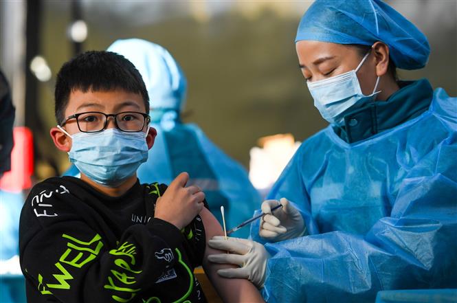 Thế giới vượt 260 triệu ca bệnh; Châu Âu dịch bùng phát nghiêm trọng Nhân viên y tế tiêm vaccine phòng COVID-19 cho trẻ em tại Khu tự trị Nội Mông, Trung Quốc, ngày 23-11-2021. Ảnh: THX/ TTXVN
