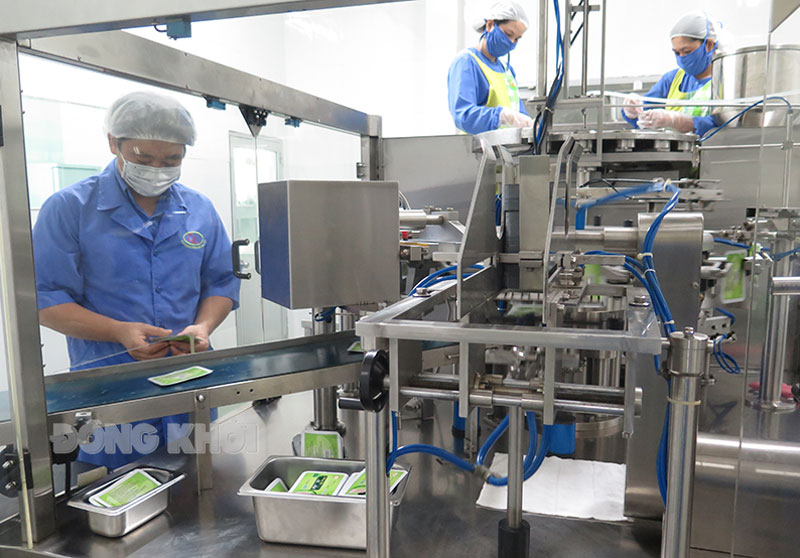 Sản xuất mặt nạ dừa tại Công ty TNHH Chế biến sản phẩm dừa Cửu Long, Phường 8, TP. Bến Tre.
