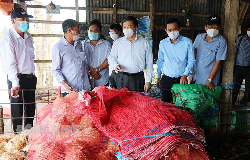Bí thư Tỉnh ủy Lê Đức Thọ khảo sát sông Mỏ Cày Bí thư Tỉnh ủy Lê Đức Thọ (thứ ba từ phải qua) thăm hộ sản xuất dừa.