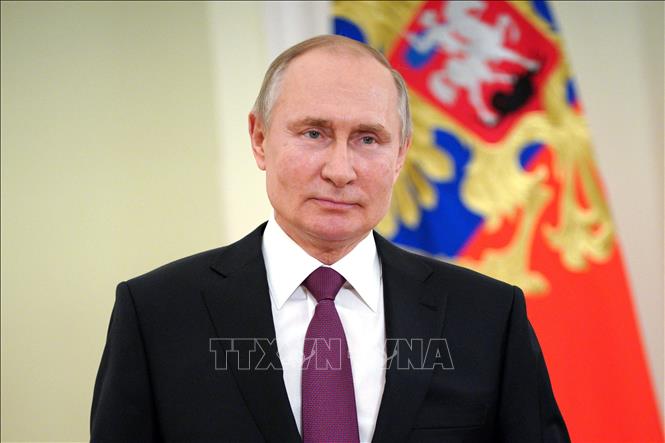 Tổng thống Nga Vladimir Putin sẽ công du Ấn Độ vào tháng tới. Ảnh: AFP/TTXVN