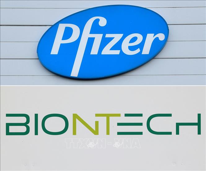 Biểu tượng hãng dược phẩm Pfizer (Mỹ) và BioNTech (Đức). Ảnh: AFP/TTXVN