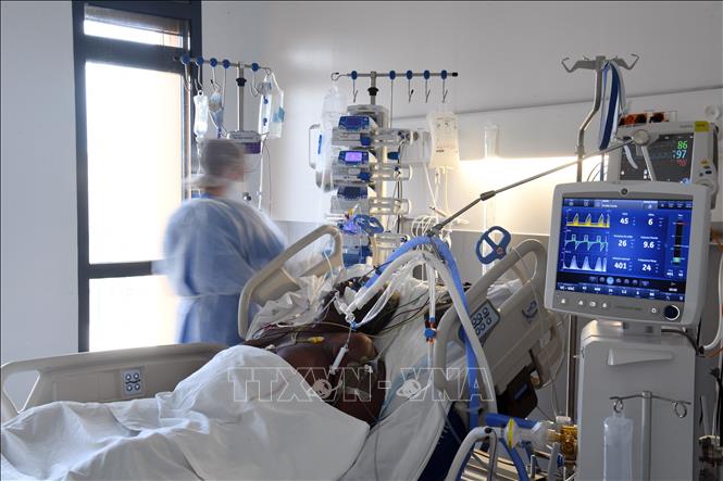 Nhân viên y tế điều trị cho bệnh nhân COVID-19 tại bệnh viện ở Martinique, Pháp ngày 1-12-2021. Ảnh: AFP/TTXVN