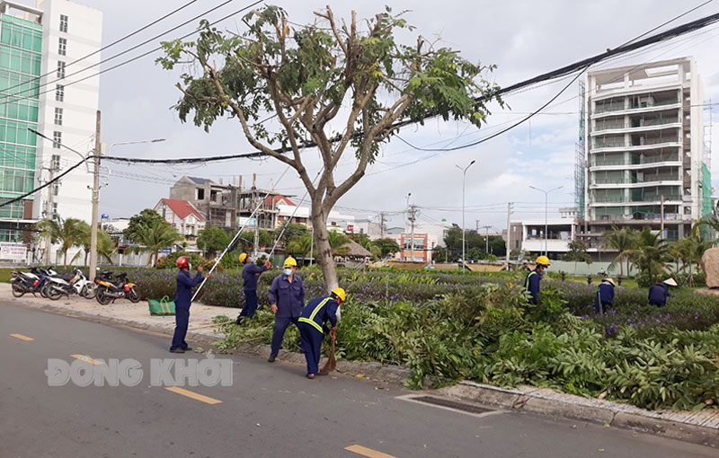 Cắt tỉa cây xanh đường 3/2, khu vực Phường An Hội, TP. Bến Tre.