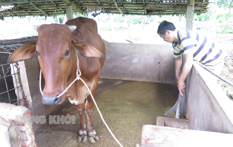Thực hiện các biện pháp cần thiết để có bảo hiểm y tế cho người dân thuộc hộ cận nghèo, người dân thuộc xã bãi ngang Hộ nghèo tại xã bãi ngang Thạnh Phú Đông, huyện Giồng Trôm).