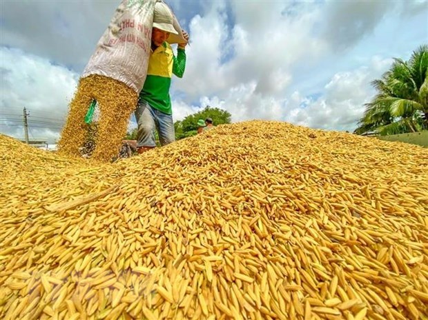 Nông dân là trung tâm, nông nghiệp là động lực, nông thôn là nền tảng Nông dân thu hoạch lúa. Ảnh: Thanh Liêm/TTXVN