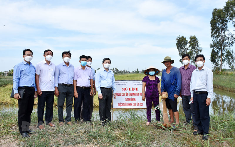 Ủy viên Trung ương Đảng - Bí thư Tỉnh ủy Lê Đức Thọ thăm mô hình “nuôi luân canh tôm càng xanh toàn đực - lúa tại tỉnh Bến Tre”, xã An Thuận.