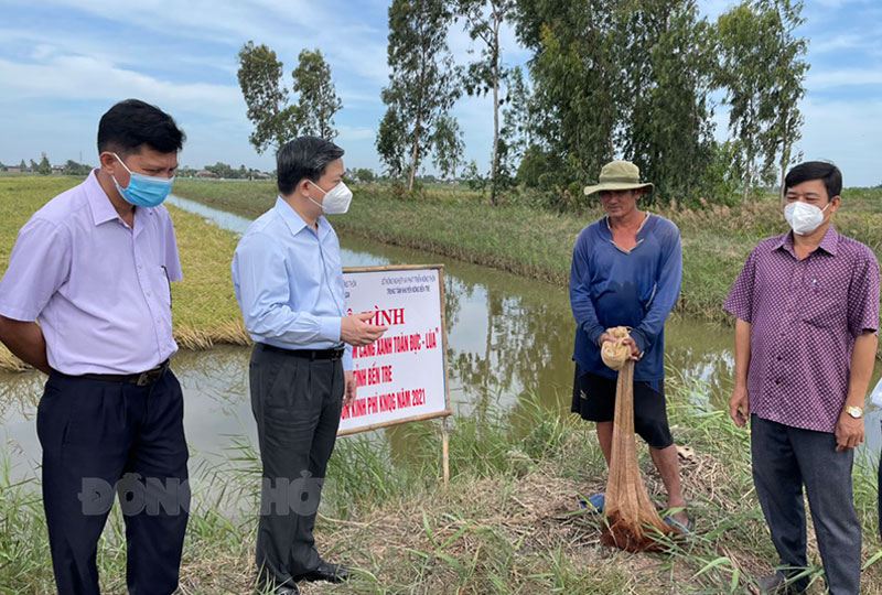 Bí thư Tỉnh ủy Lê Đức Thọ khảo sát các mô hình tôm - lúa tại Thạnh Phú. Ảnh: Cẩm Trúc
