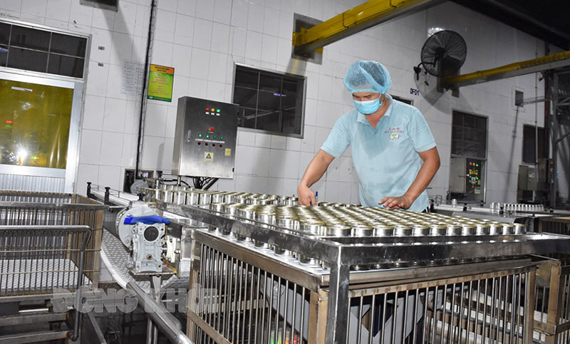 Định hướng phát triển kinh tế - xã hội của tỉnh năm 2022 Phát triển nhanh các ngành công nghiệp chủ lực. Ảnh: C.Trúc