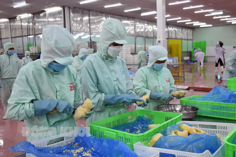 Một số nhiệm vụ, giải pháp trọng tâm phát triển kinh tế - xã hội của tỉnh năm 2022 Phát triển nhanh các ngành công nghiệp chủ lực, nhất là công nghiệp chế biến các sản phẩm nông - thủy sản. Ảnh: PV