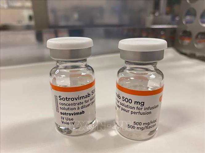 Thuốc Sotrovimab điều trị bệnh nhân COVID-19 do Công ty dược GlaxoSmithKline phối hợp với Công ty công nghệ sinh học Vir Biotechnology của Mỹ nghiên cứu và phát triển. Ảnh: The National/TTXVN