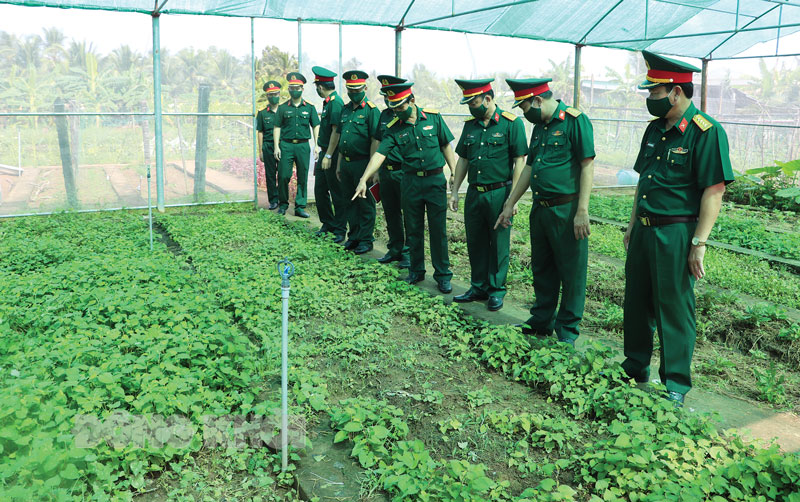 Tiếp tục phát huy phẩm chất “Bộ đội cụ Hồ” trong thời kỳ mới Bộ Chỉ huy Quân sự tỉnh kiểm tra khu tăng gia sản xuất tại các đơn vị. Ảnh: Đặng Thạch